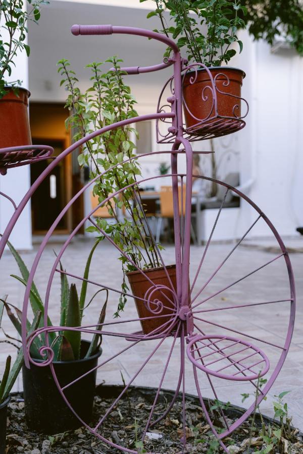 Armonia-Art House Apartment Kos Bagian luar foto